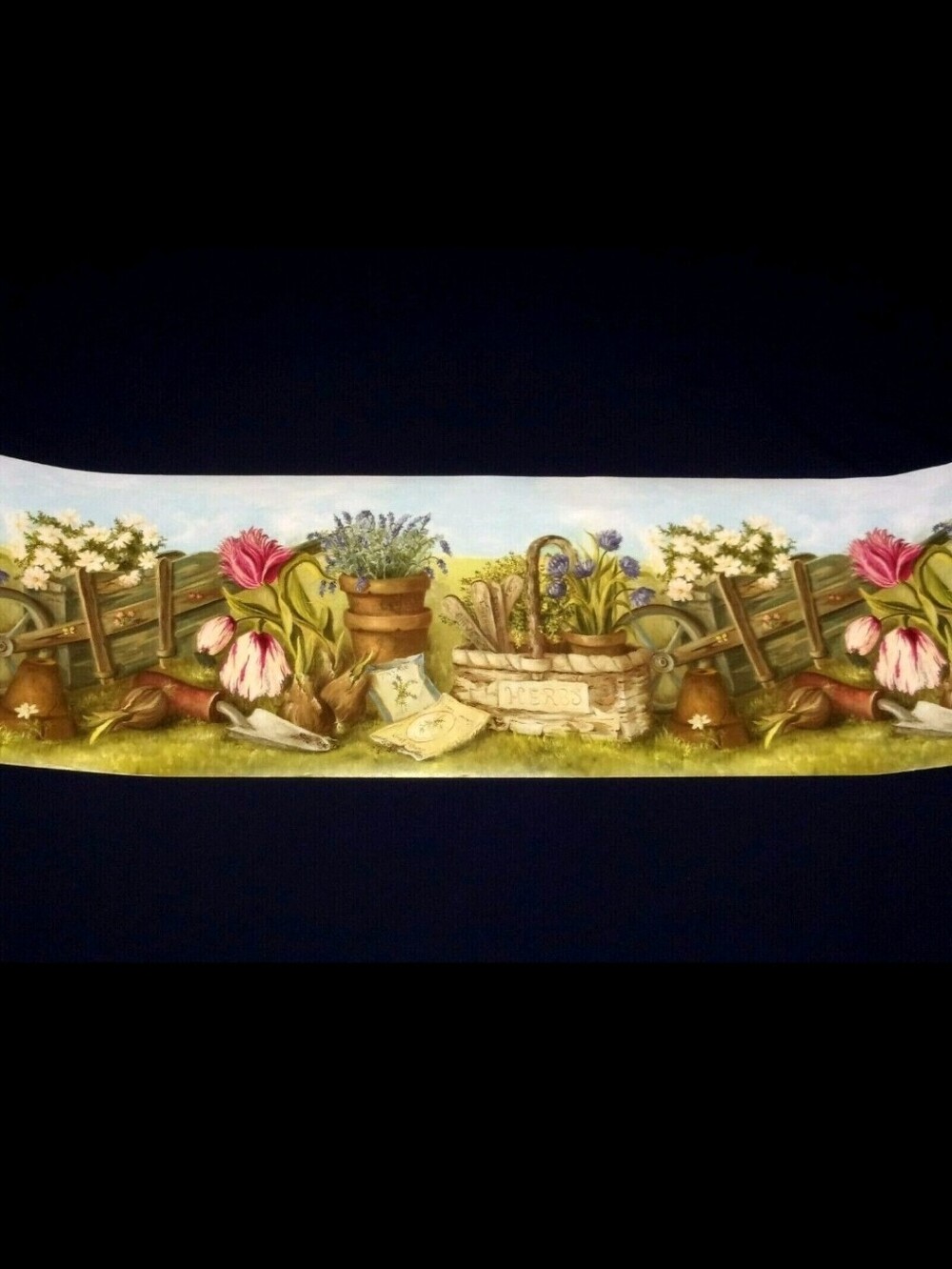Brewster Home 4 Rolls Botanical Floral Cottage Grandmacore Border Wallpaper